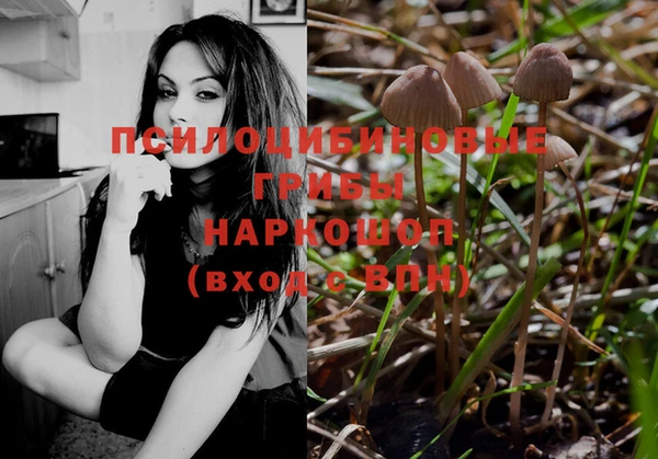 шишки Майский