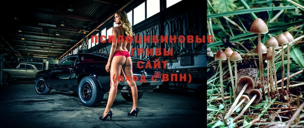 шишки Майский