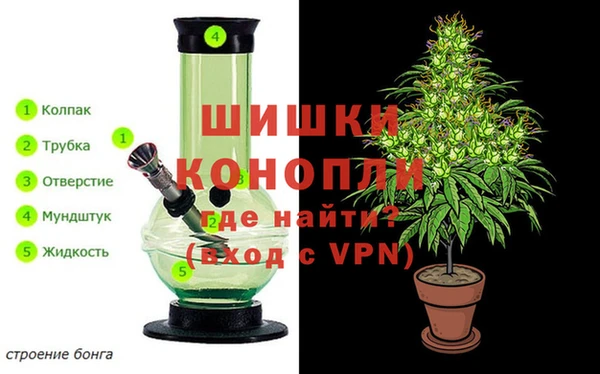 шишки Майский