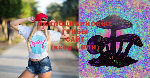 герыч Магас