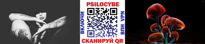 наркота  Аксай  Псилоцибиновые грибы мицелий 