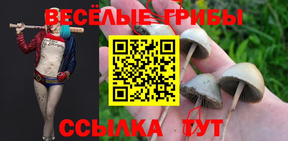 Аксай  закладки  Вход с VPN  Галлюциногенные грибы ЛСД 